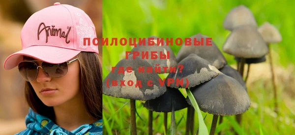 герыч Дмитров